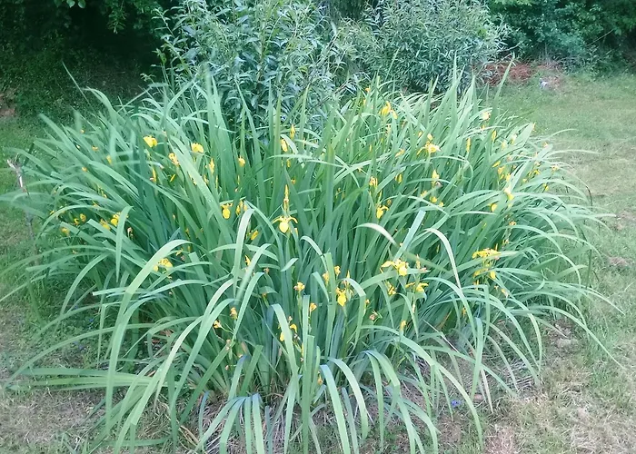 Apartma Lahinja Gradac